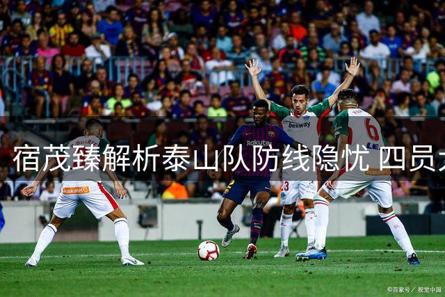宿茂臻解析泰山队防线隐忧 四员大将复出时间表曝光