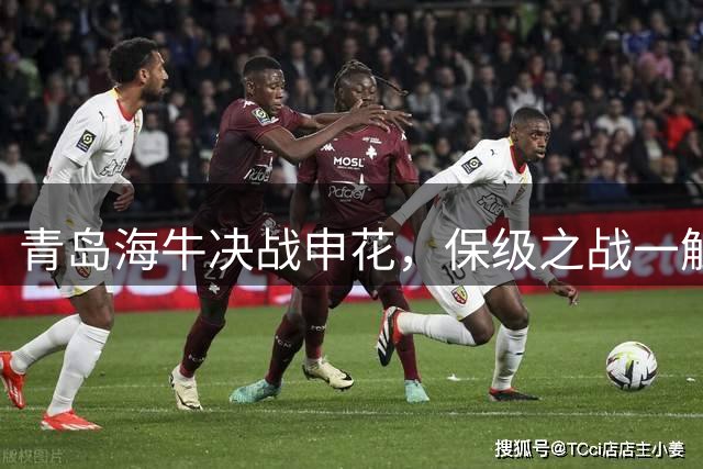 青岛海牛决战申花，保级之战一触即发